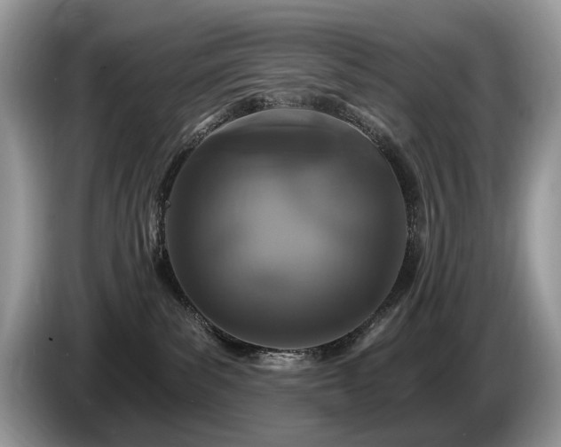 X0000087570139200704271254