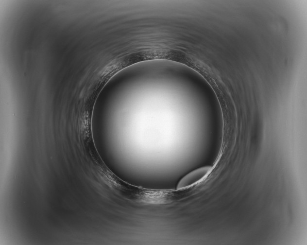 X0000087570144200704271254