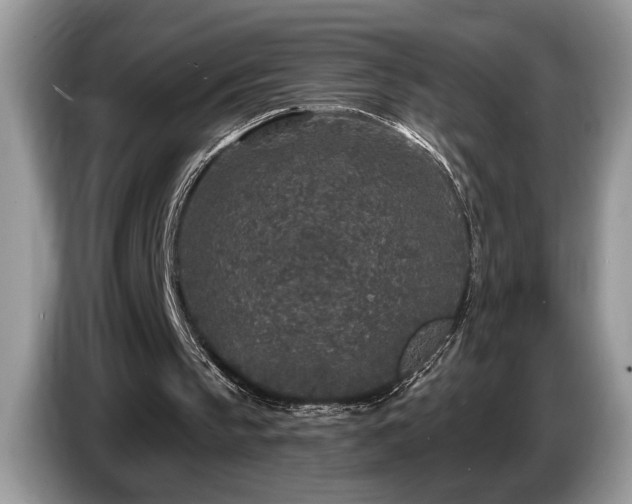 X0000087570145200704271253