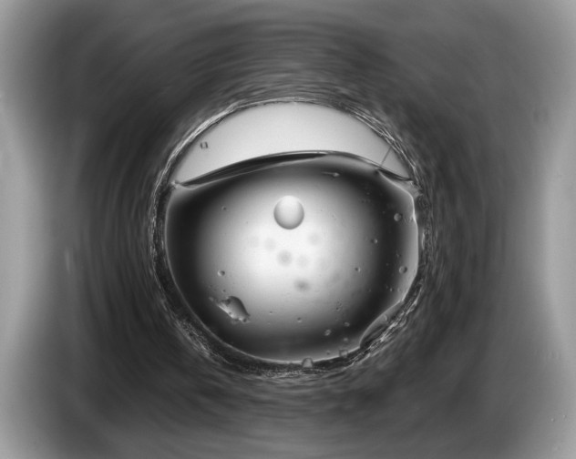 X0000087570146200704271253