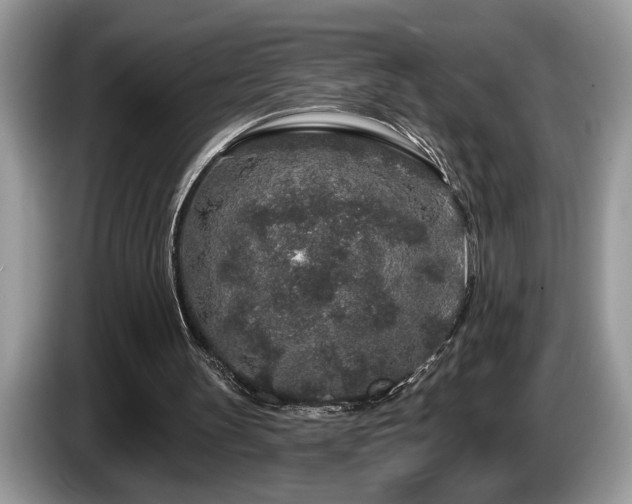 X0000087570147200704271253