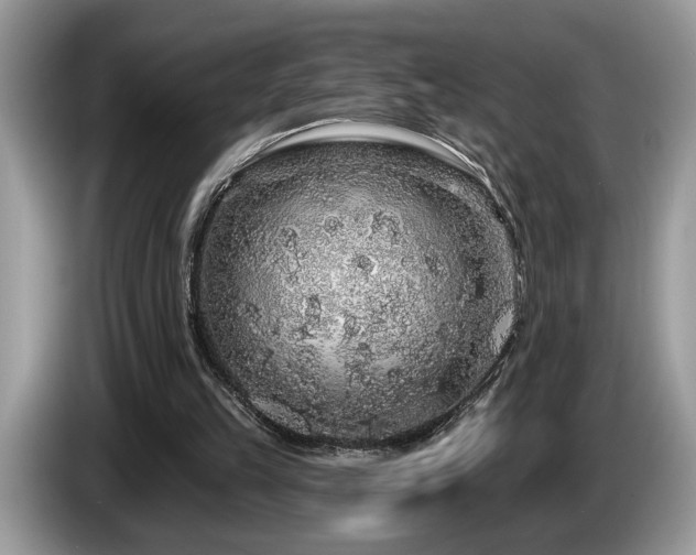 X0000087570149200704271253