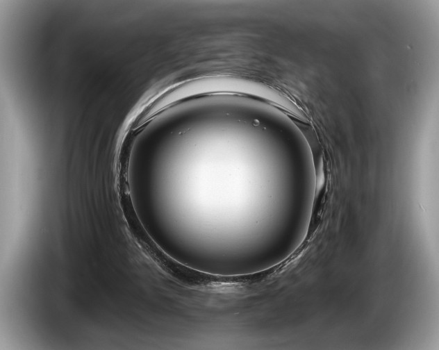 X0000087570150200704271253