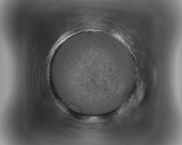 X0000087570151200704271253