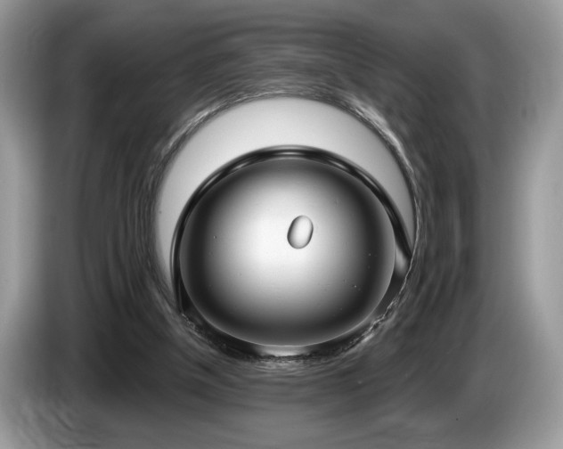 X0000087570154200704271253