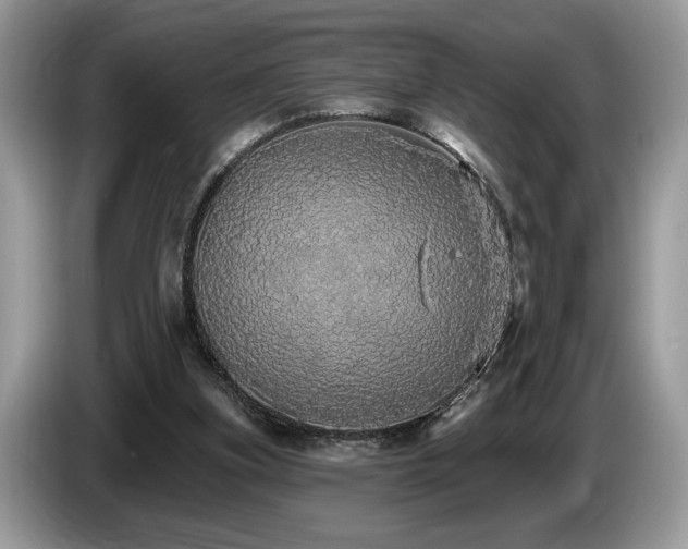 X0000087570155200704271253