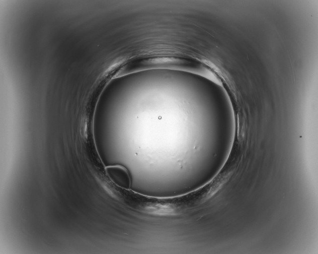 X0000087570157200704271253