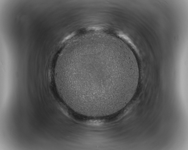 X0000087570161200704271253
