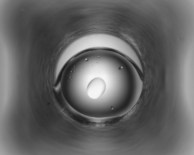 X0000087570162200704271253