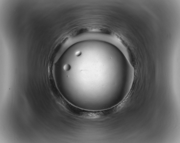 X0000087570166200704271253