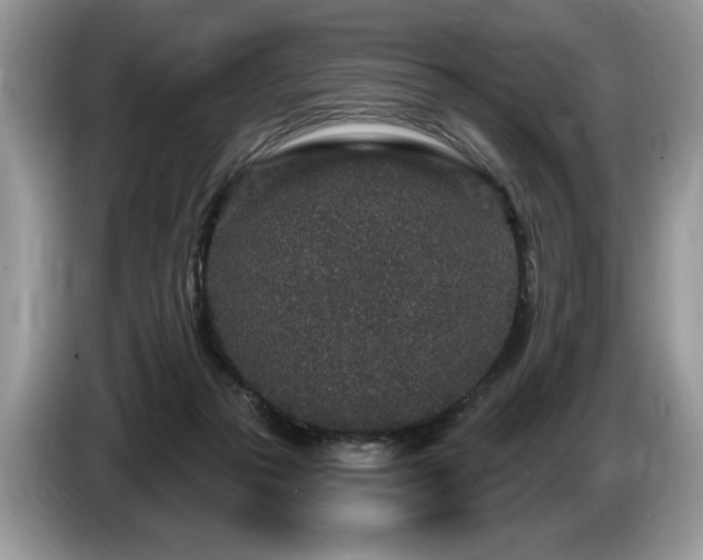 X0000087570169200704271253