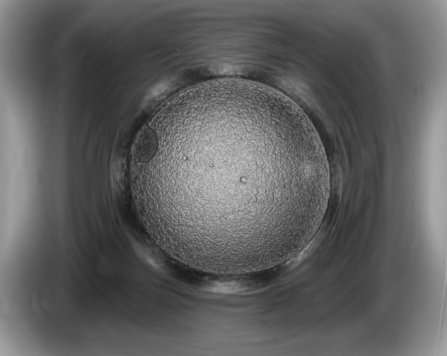 X0000087570171200704271254