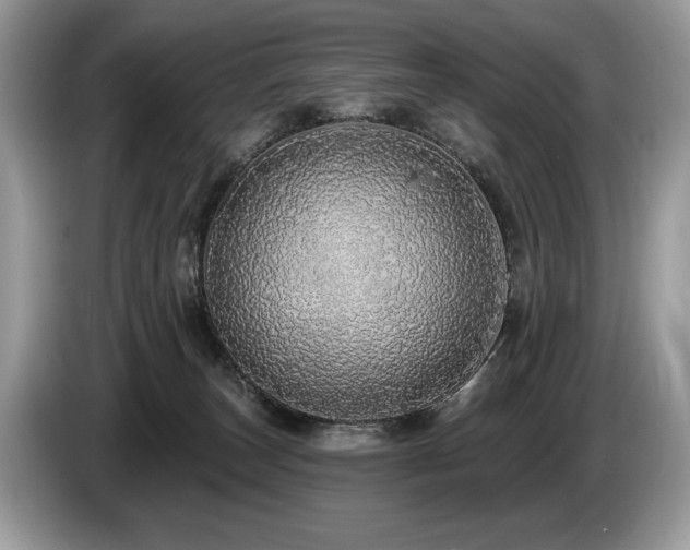 X0000087570179200704271254