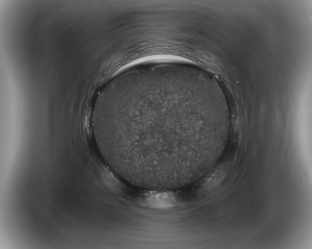 X0000087570185200704271254