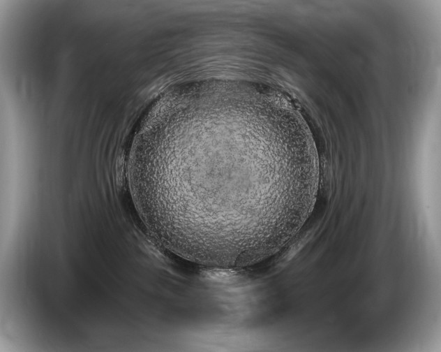 X0000087570189200704271254