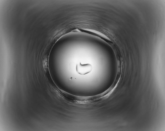 X0000087570190200704271254