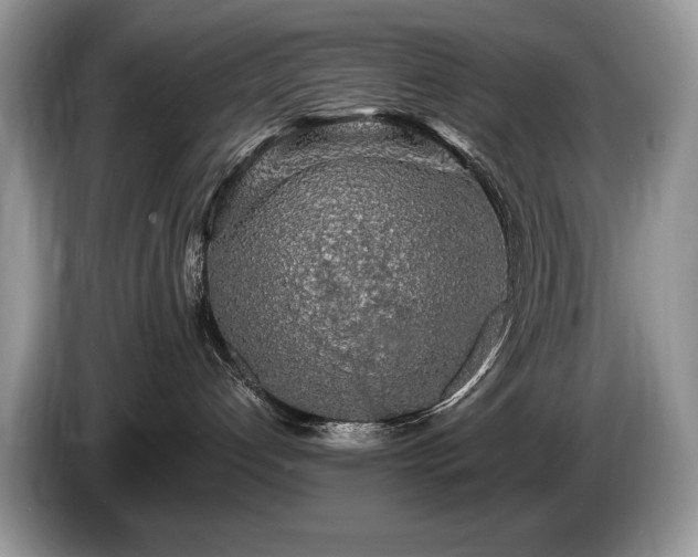 X0000087570192200704271254