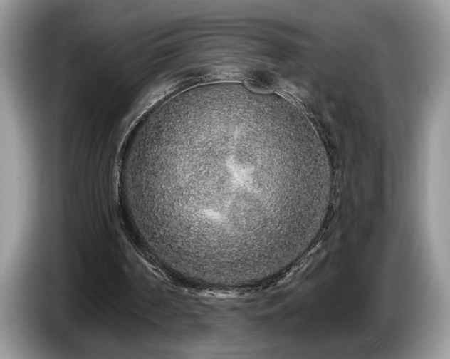 X0000087570194200704271253
