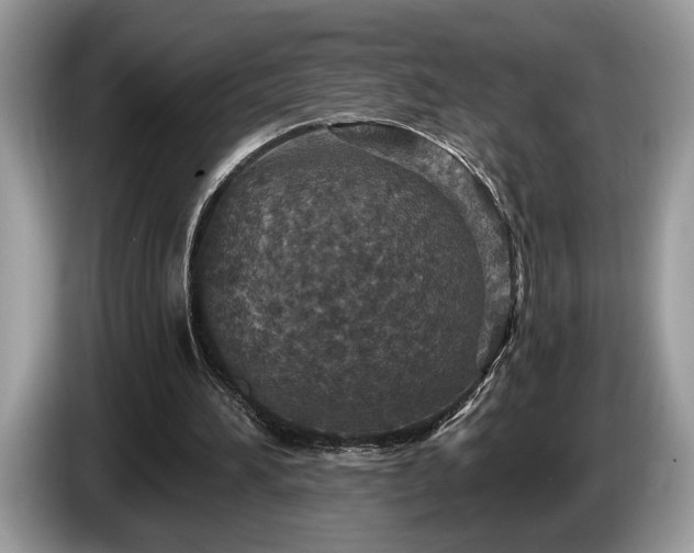 X0000087570196200704271253
