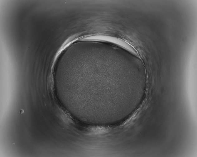X0000087570198200704271253