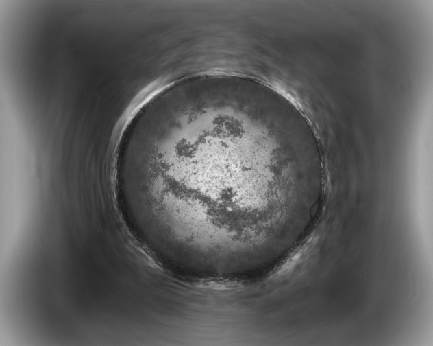 X0000087570199200704271253