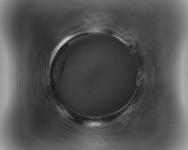 X0000087570200200704271253