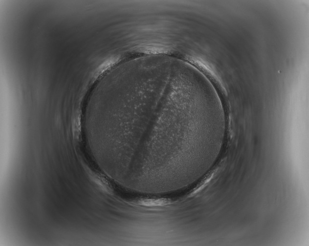 X0000087570202200704271253