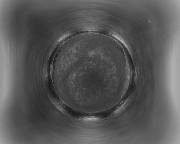 X0000087570203200704271253