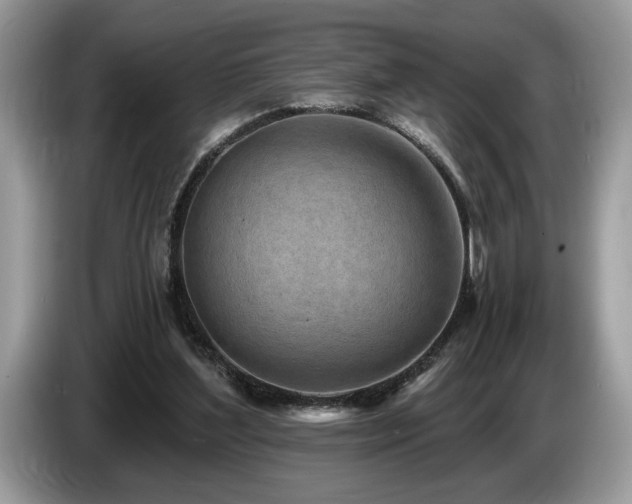 X0000087570204200704271253