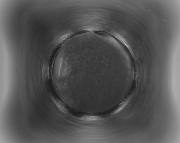 X0000087570205200704271253