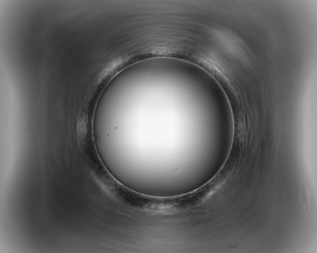 X0000087570208200704271253