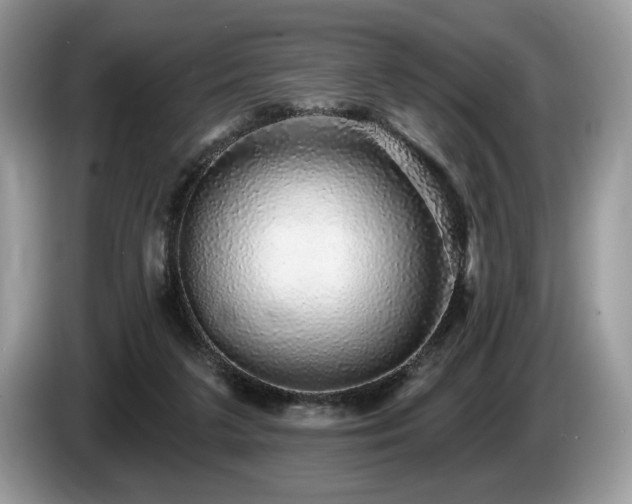 X0000087570211200704271253