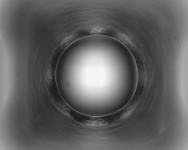 X0000087570215200704271253