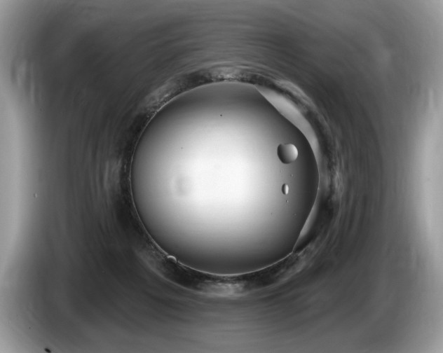 X0000087570217200704271253