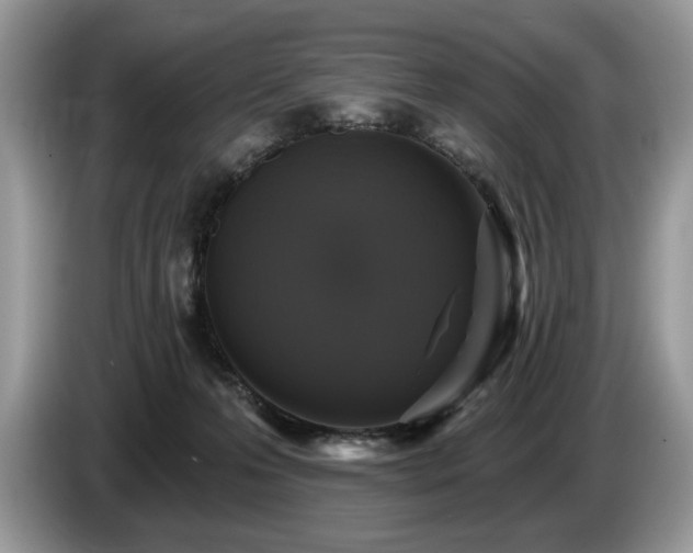 X0000087570223200704271253
