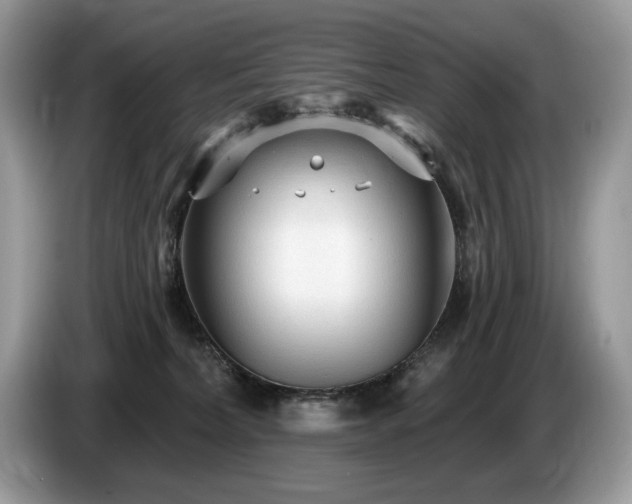 X0000087570228200704271253