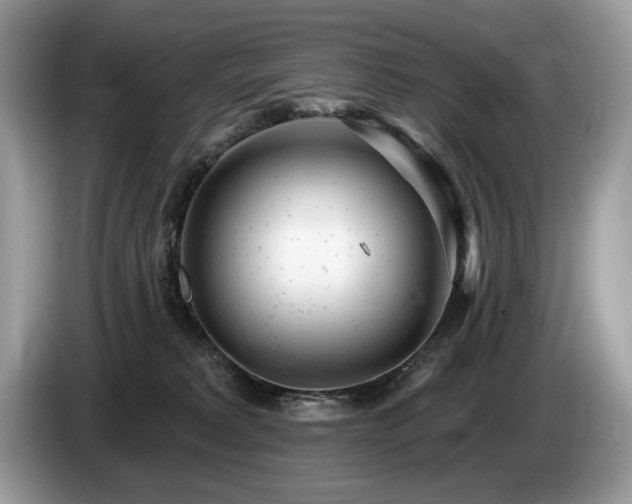 X0000087570229200704271253