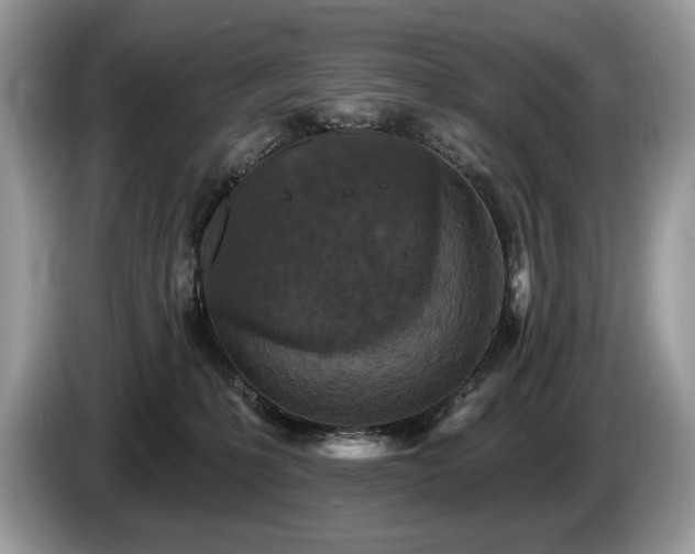 X0000087570231200704271253
