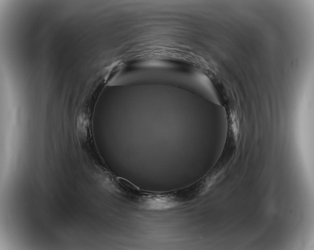 X0000087570235200704271253