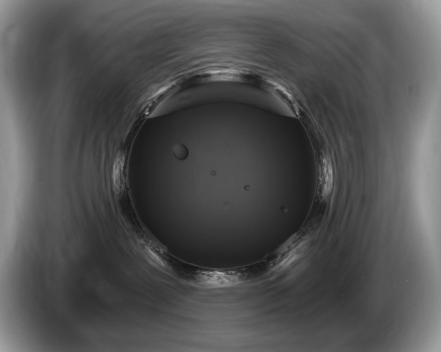 X0000087570239200704271253