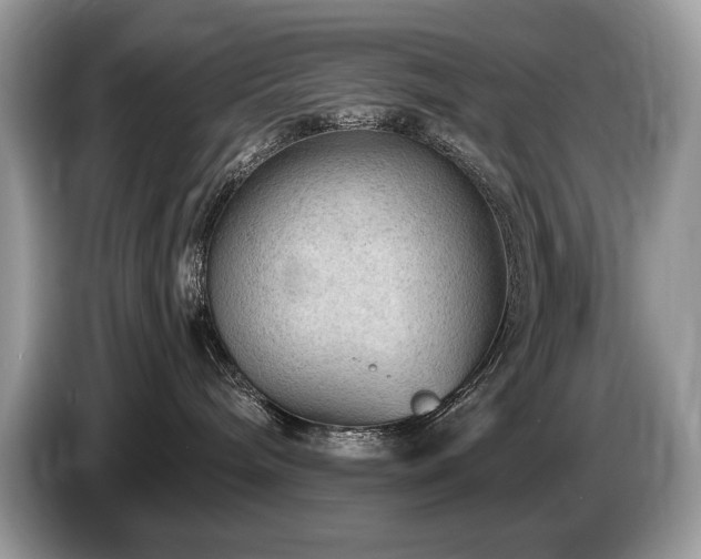 X0000087570240200704271253