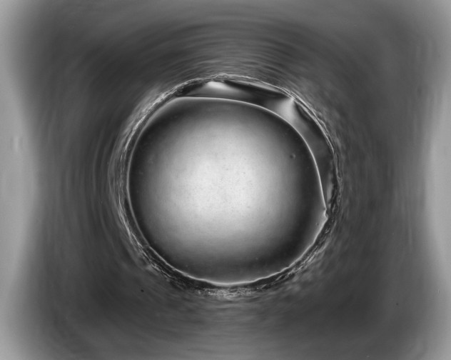 X0000087570241200704271252