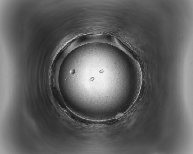 X0000087570242200704271252