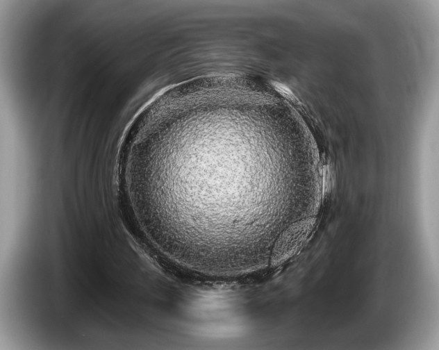 X0000087570243200704271252