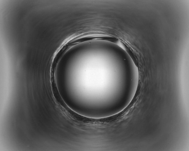 X0000087570244200704271252