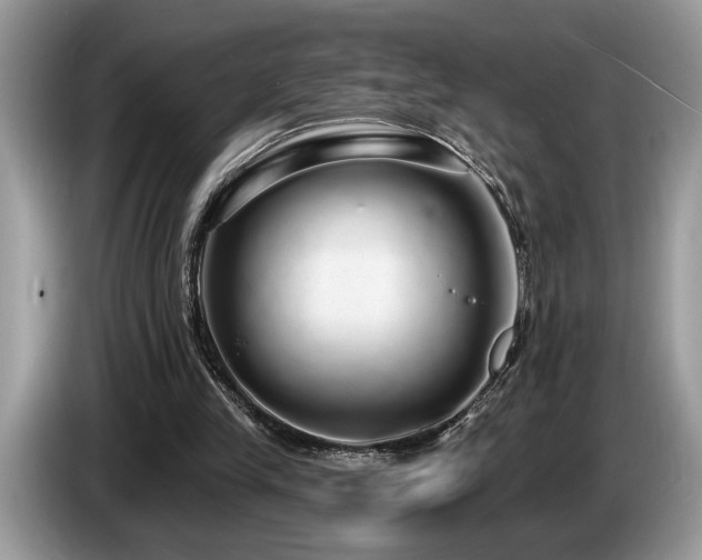 X0000087570245200704271252