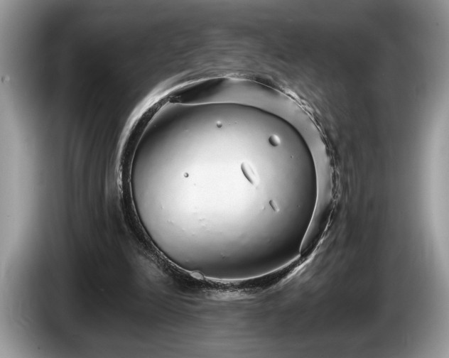 X0000087570246200704271252
