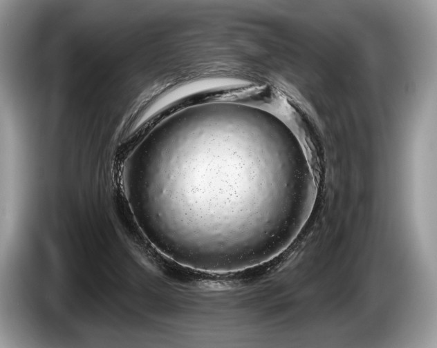X0000087570250200704271252