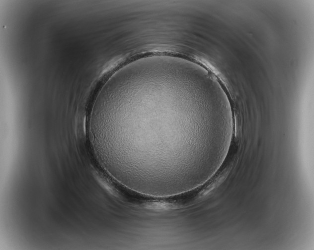 X0000087570253200704271252