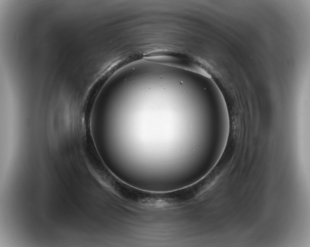 X0000087570254200704271252